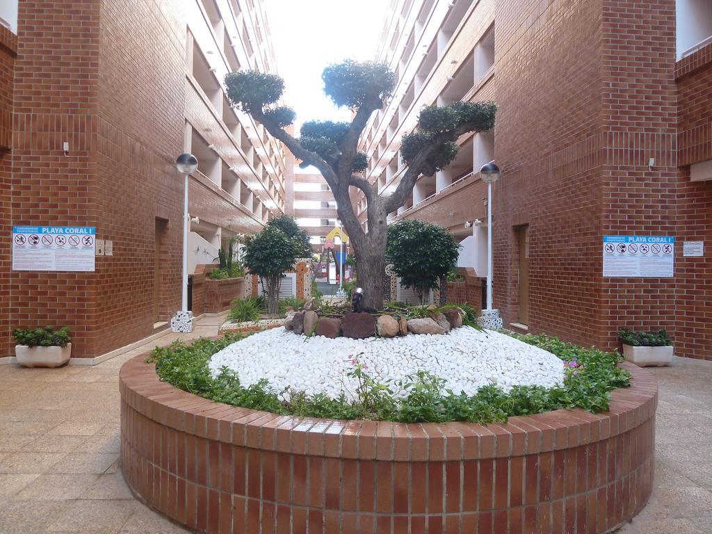דירות אורופסה דל מר Playa Coral En Marina D'Or מראה חיצוני תמונה