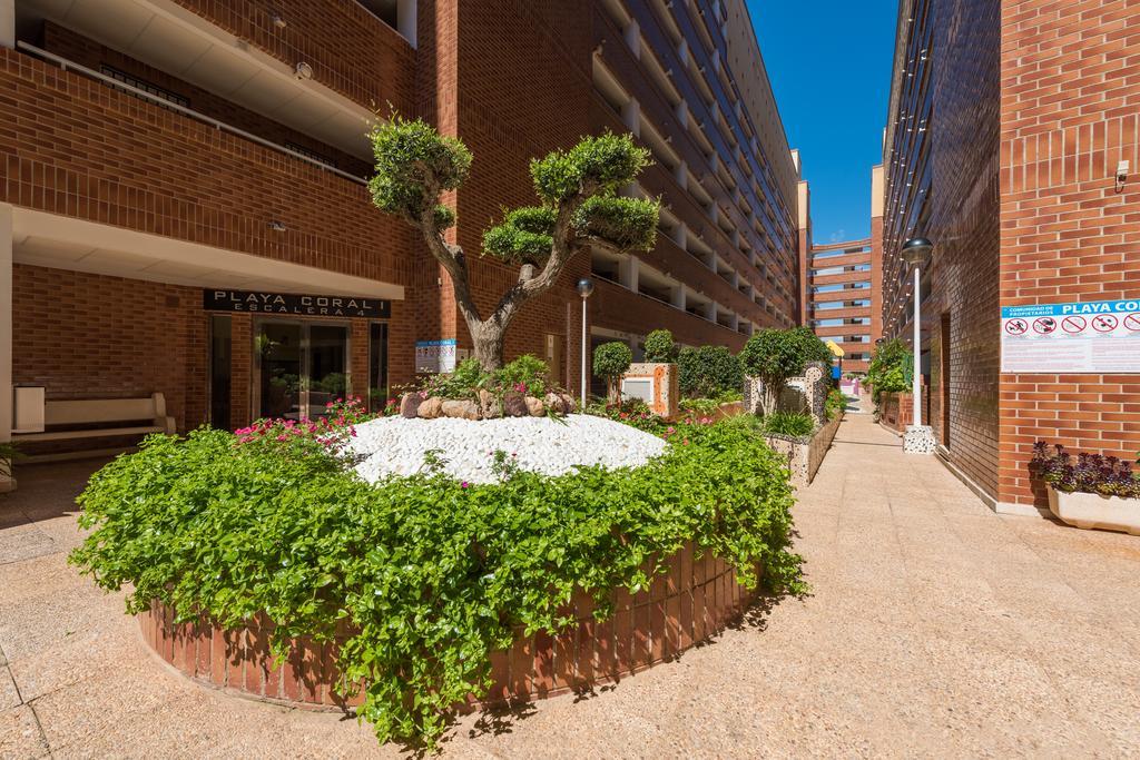 דירות אורופסה דל מר Playa Coral En Marina D'Or מראה חיצוני תמונה